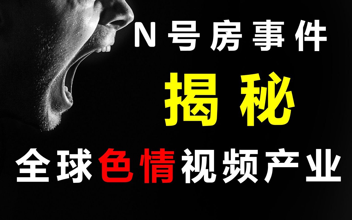 【厉害】“N号房”背后:揭密26万韩国人与全球色情视频产业【全球视野05】哔哩哔哩bilibili