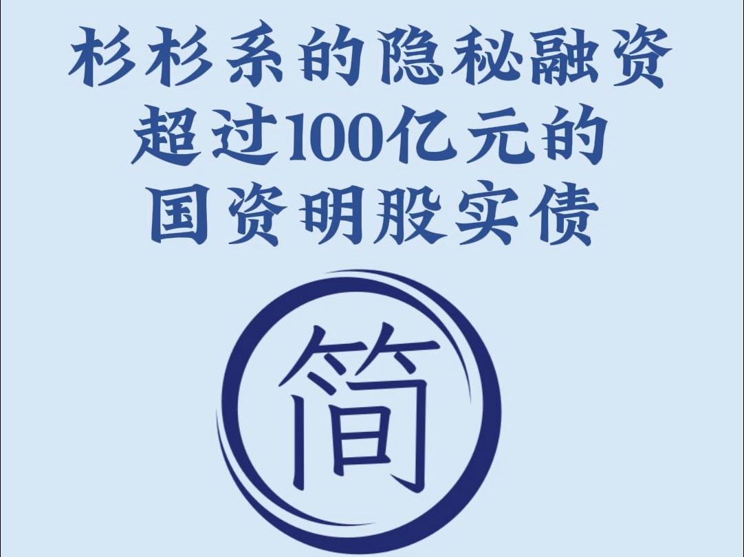 杉杉系100亿元国资明股实债哔哩哔哩bilibili