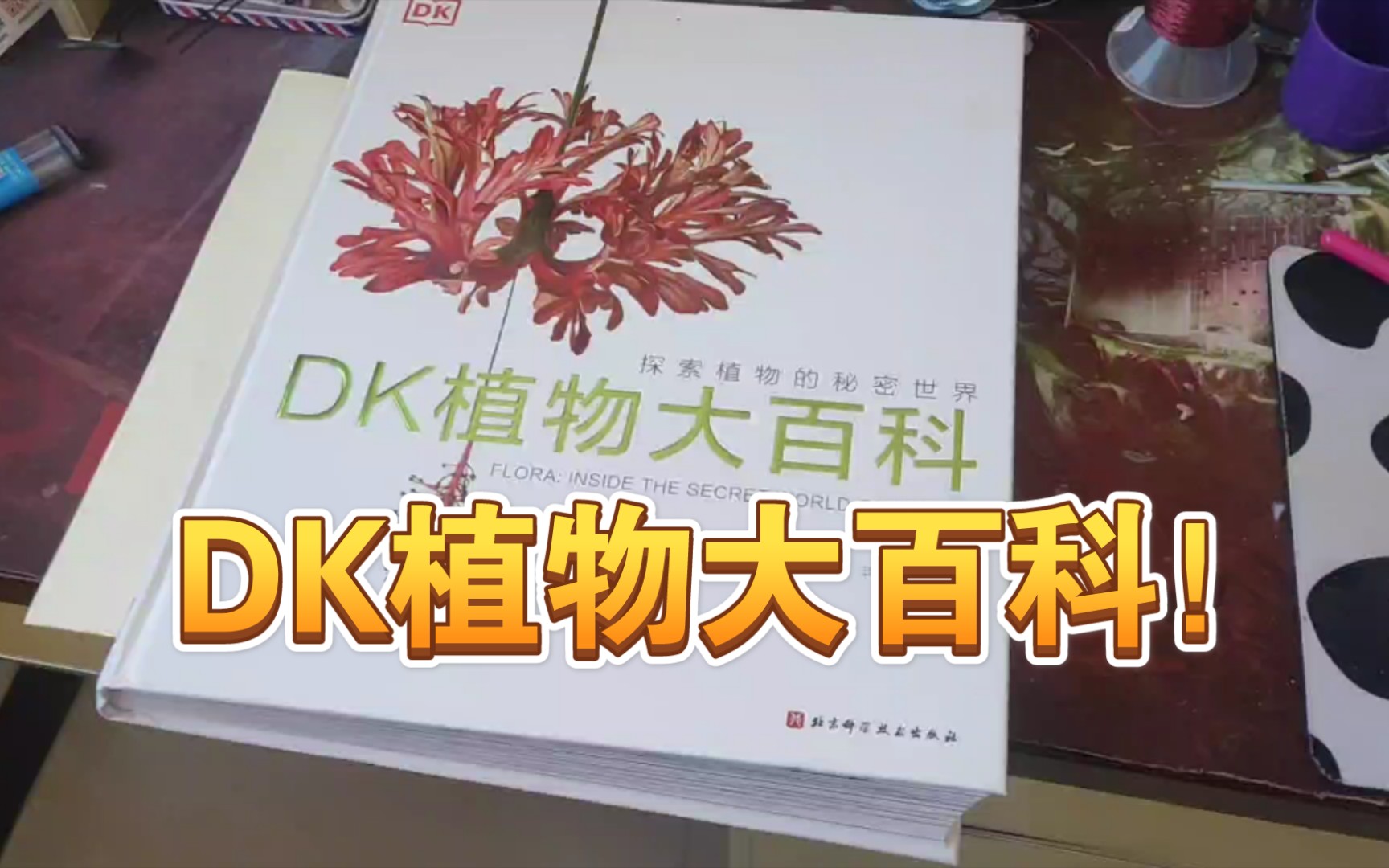 DK植物大百科推荐!!!哔哩哔哩bilibili