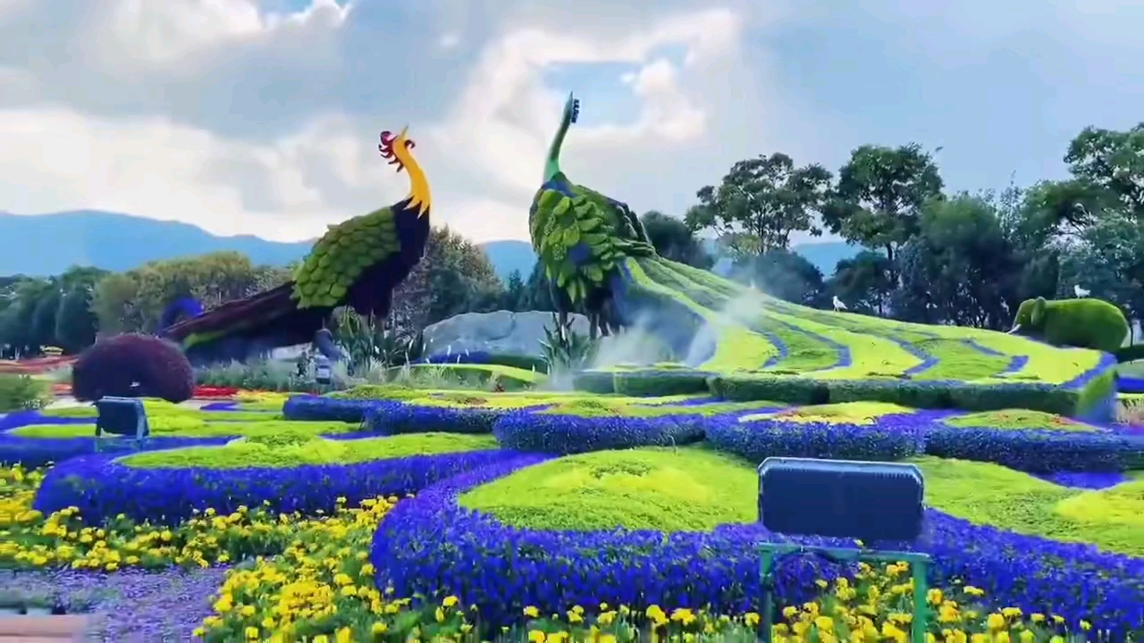 动植物王国云南欢迎您!