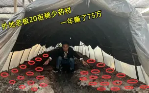 Download Video: 农村出现一种见不得光种植，外地老板租20亩地皮，一年赚了75万