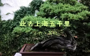 Video herunterladen: 此去上海五千里，信马由缰甚逍遥（六）苏杭