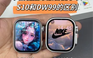 下载视频: S10和DW99该如何选择