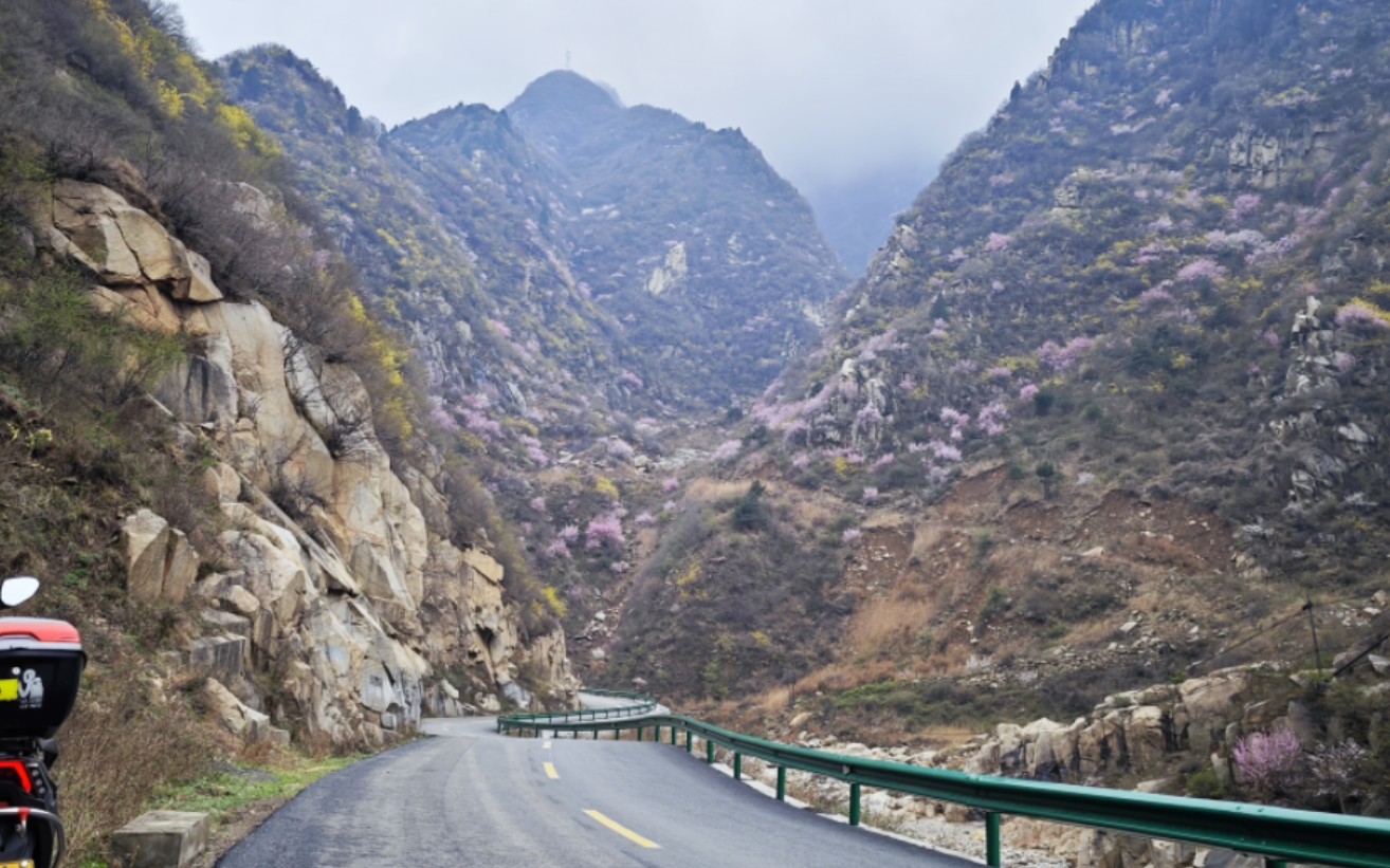 一个人西安周边游,蓝田九灞路春季美景