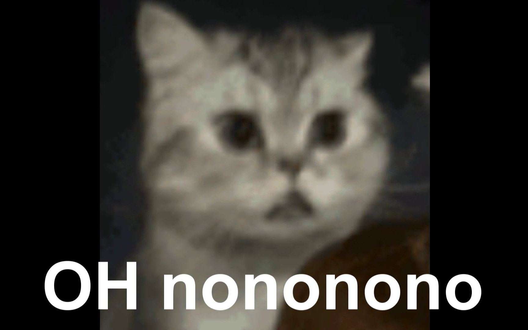 一个猫说nonono表情包图片