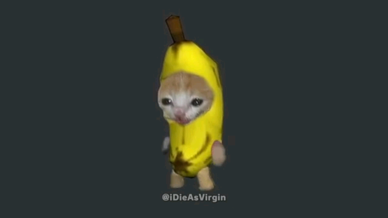 [图]The Banana Cat