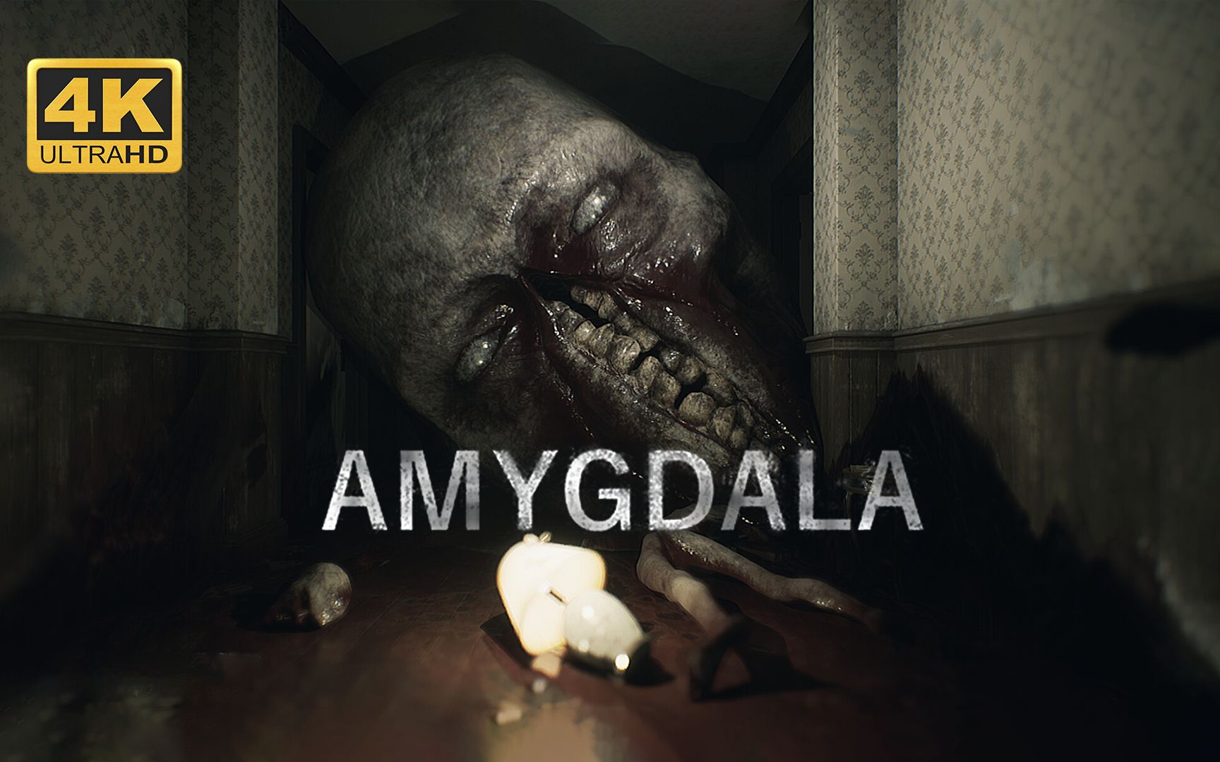 【amygdala】4k 最高画质 全流程通关攻略 重口味猎奇恐怖游戏