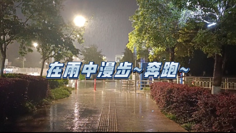 一只开心的落汤鸡