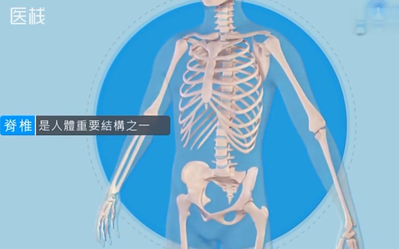 康亦健健康坊邀您共同呵护脊柱健康3D动画脊柱退变过程演示哔哩哔哩bilibili