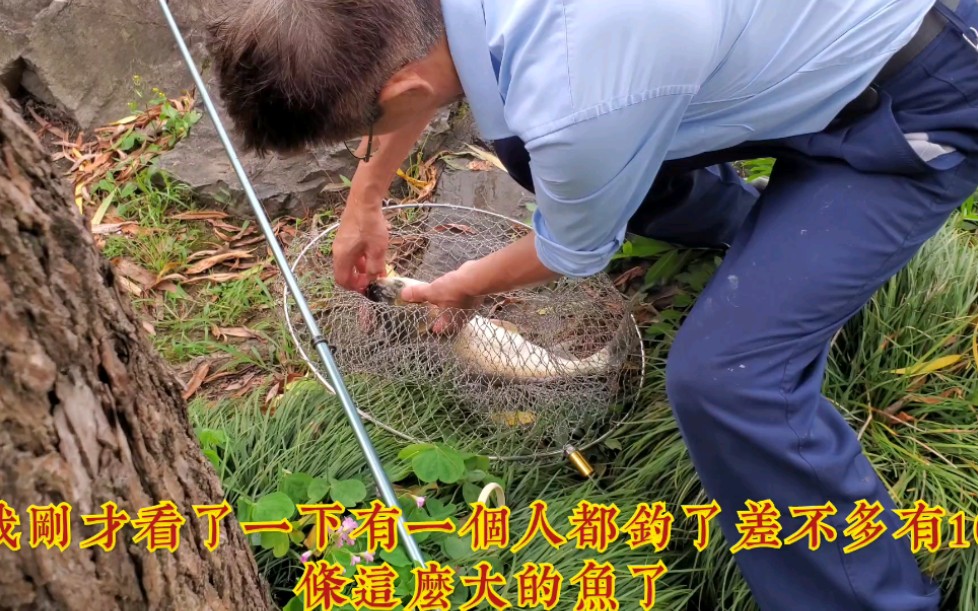 想在杭州西湖钓鱼,先办个钓鱼证300元,可以使用一年,到底值不值呢哔哩哔哩bilibili