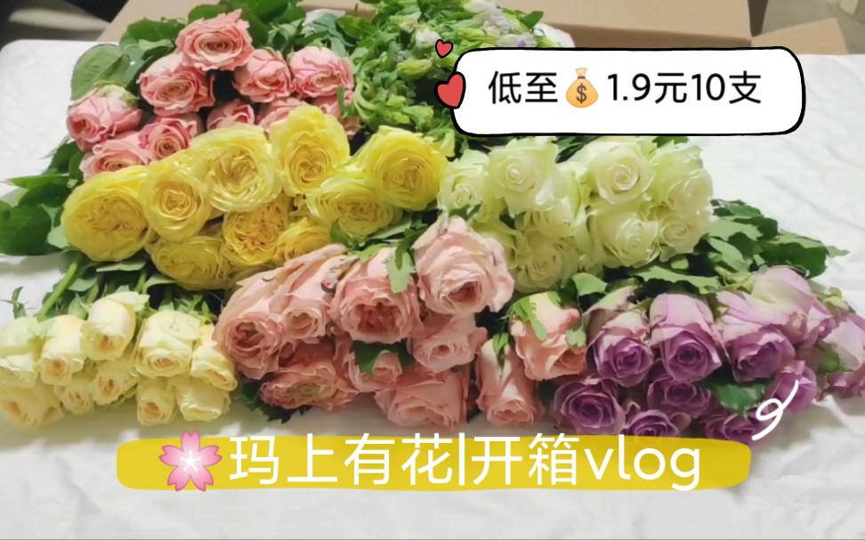 [图]玛上有花|小程序买花开箱vlog|平价鲜花