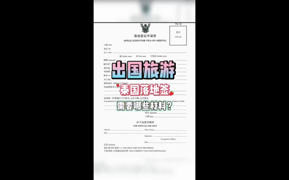 出国旅游泰国落地签需要哪些材料?哔哩哔哩bilibili