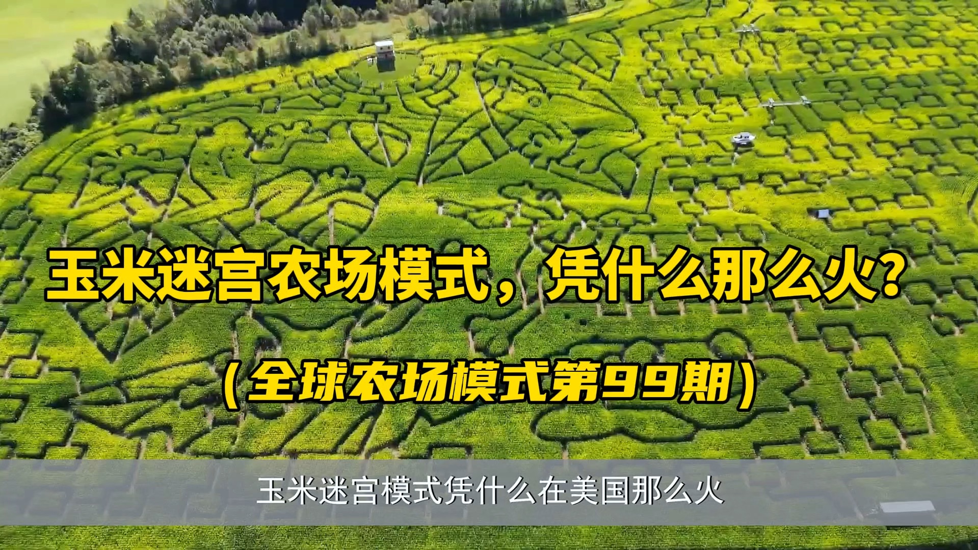 玉米迷宫农场模式,凭什么那么火?美国几乎每一个城郊农场,都玩玉米迷宫模式,你知道他们是如何打造和运营的么?一个视频详细分享给你!哔哩哔哩...