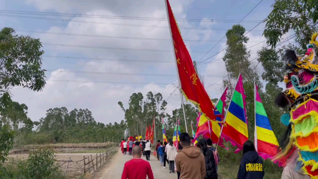 广东省湛江市廉江市良垌镇新华镇崇山村年初四游神
