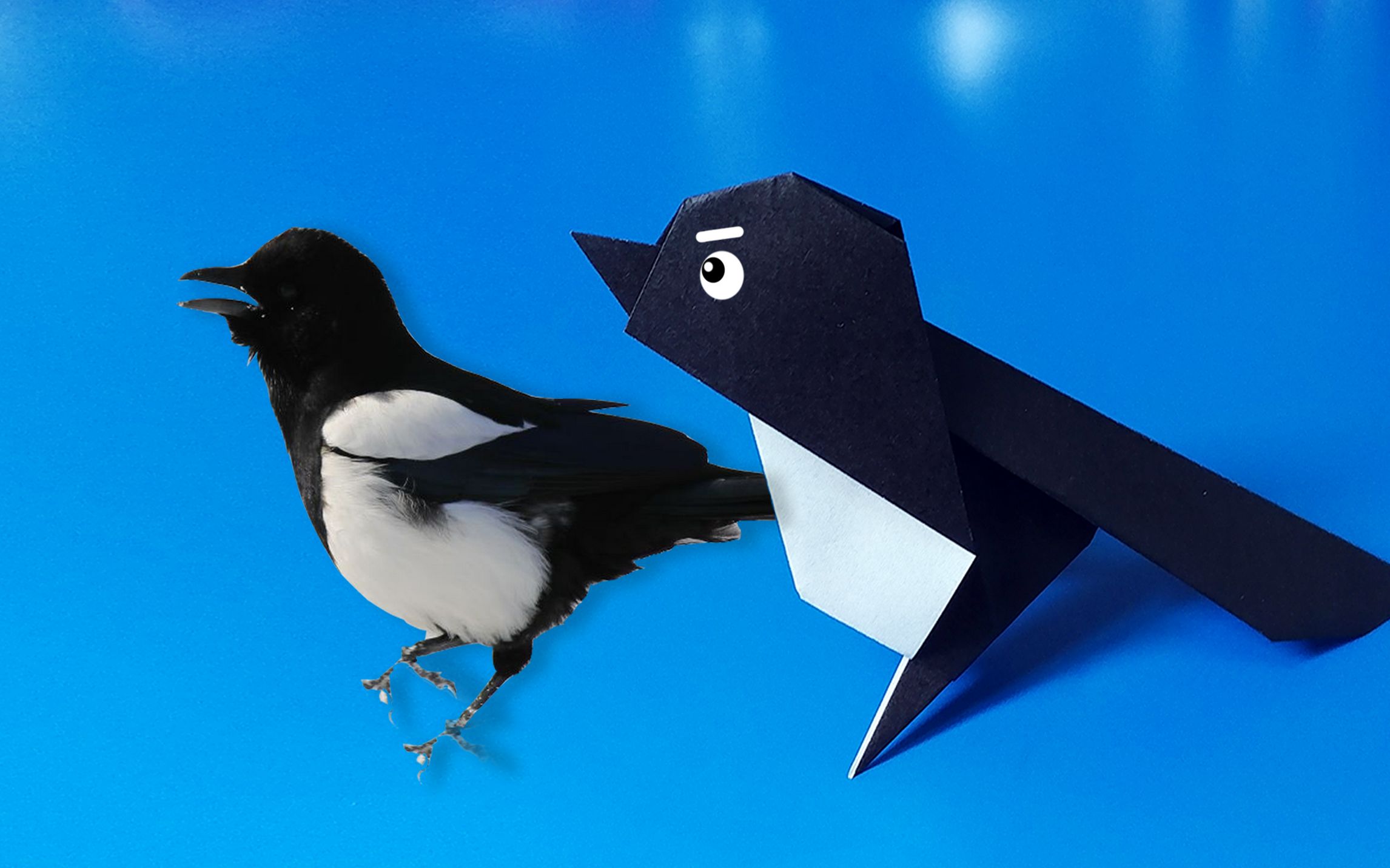 【折纸教程】 疫情在家没事就这个喜鹊吧_哔哩哔哩_bilibili