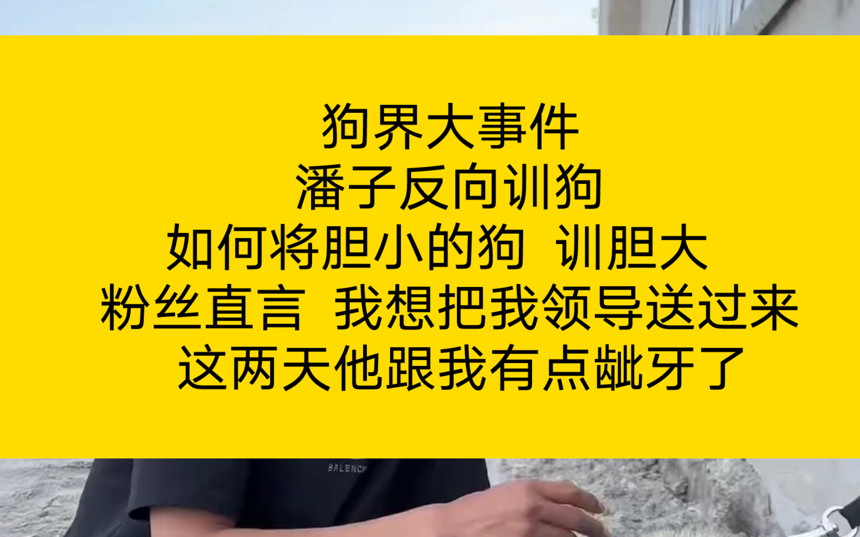 狗界大事件 潘子反向训狗 如何将胆小的狗 训胆大 粉丝直言 我想把我领导送过来 这两天他跟我有点龇牙了哔哩哔哩bilibili