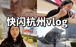 Download Video: 快闪杭州vlog｜购物当天来回，直接花掉1000