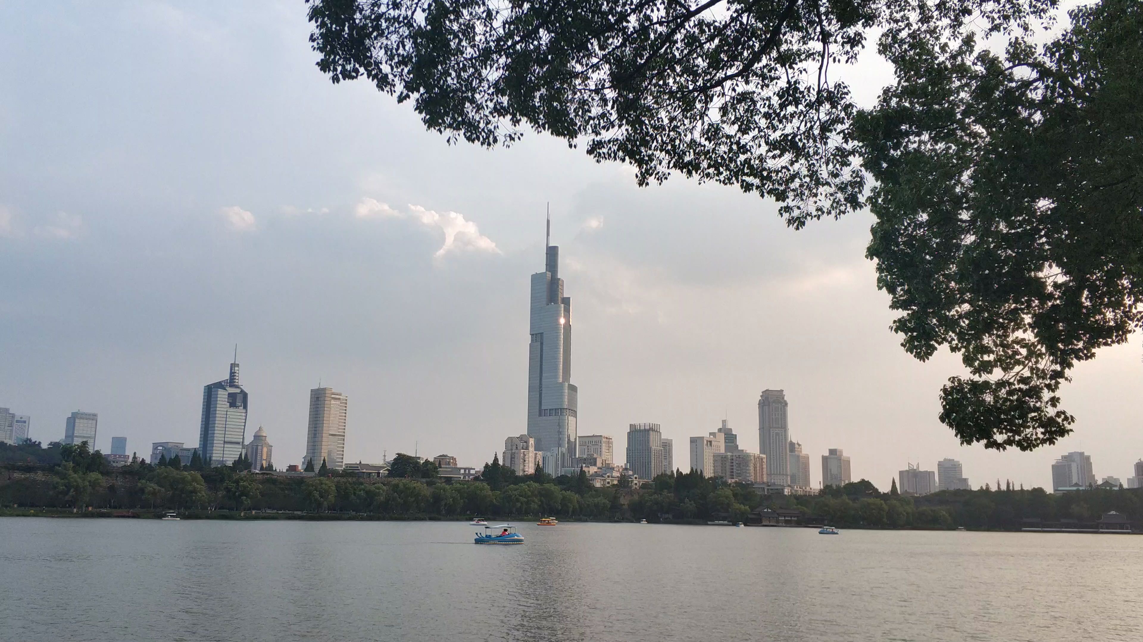 活动  玄武湖看紫峰大厦