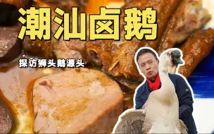 Tải video: 探访狮头鹅源头！看看大鹅为啥这么好吃！