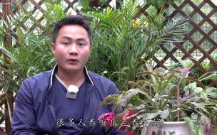 Скачать видео: 蟹爪兰长不好长不旺，浇水时添点它，再也不怕养不好了