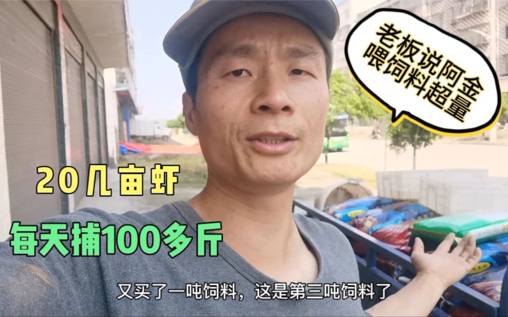 每天100多斤虾,饲料用不起,老板看不下去说阿金喂多了哔哩哔哩bilibili