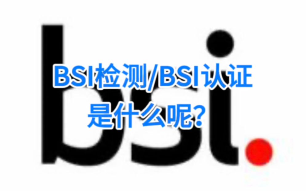 BSI检测/BSI检测是什么呢?哔哩哔哩bilibili