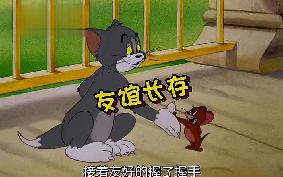 1 如果汤姆有了对象,你的行为会跟它一样吗#动漫解说 #猫和老鼠