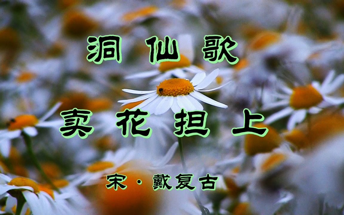 诗词欣赏:重阳佳节戴复古独自喝酒听曲,作词《洞仙歌》缓解乡愁哔哩哔哩bilibili