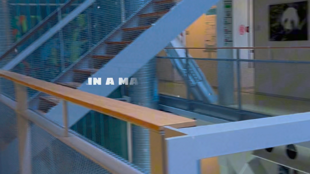 周日宁静的校园 安静的办公室 温暖的阳光 微风轻拂 生活如此美好