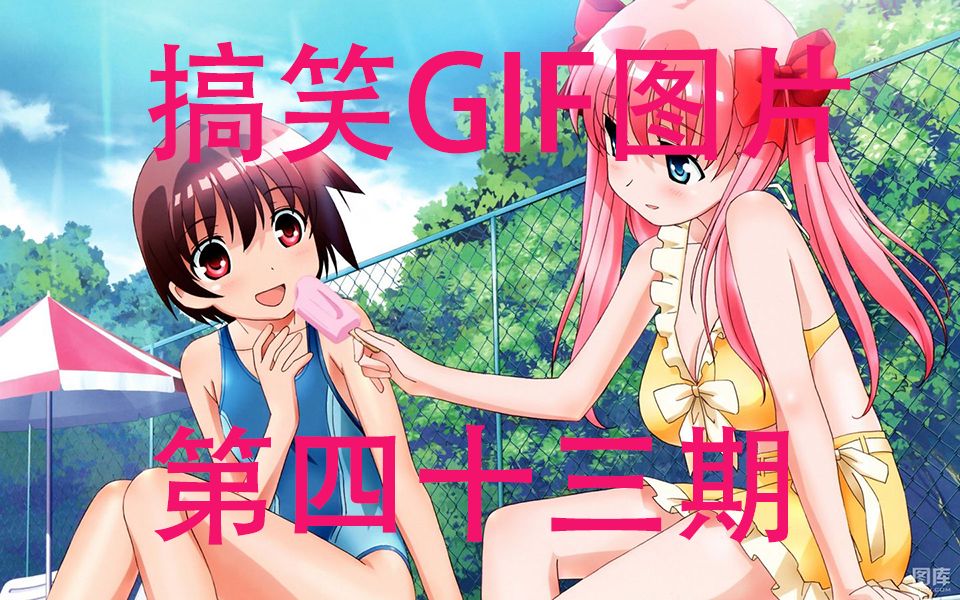 【富江酱】GIF动态图片搞笑视频第四十三期哔哩哔哩bilibili