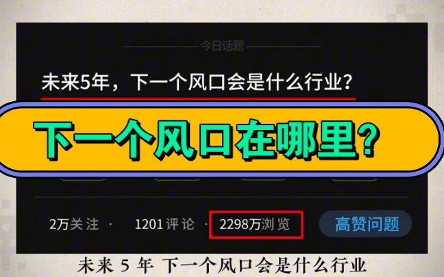 站在风口上,猪都能飞起来,未来5年,下一个风口是什么?哔哩哔哩bilibili