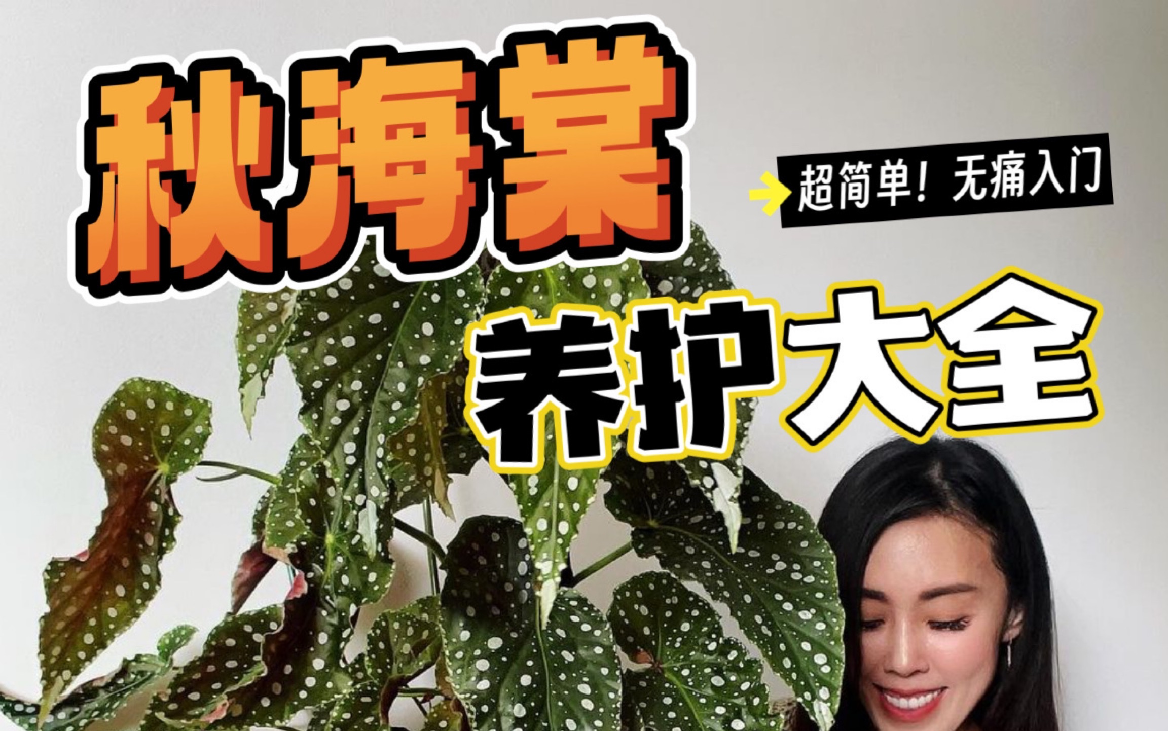 植物小白必看!秋海棠养护从0到1~哔哩哔哩bilibili