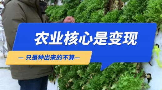 如果你在考虑要不要进入农业，你就问问自己能不能变现。