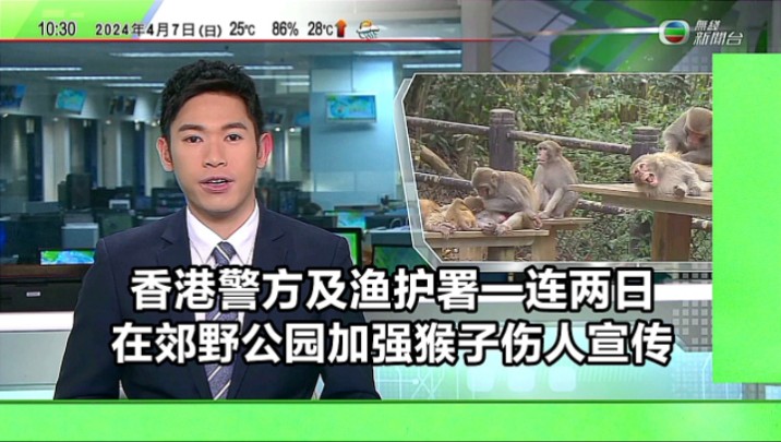 【无线新闻】香港警方及渔护署一连两日在郊野公园加强猴子伤人宣传