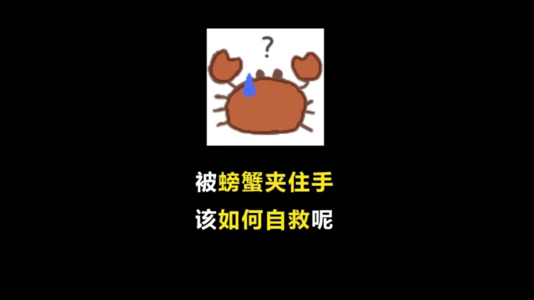 被螃蟹夹住手该如何自救呢?哔哩哔哩bilibili