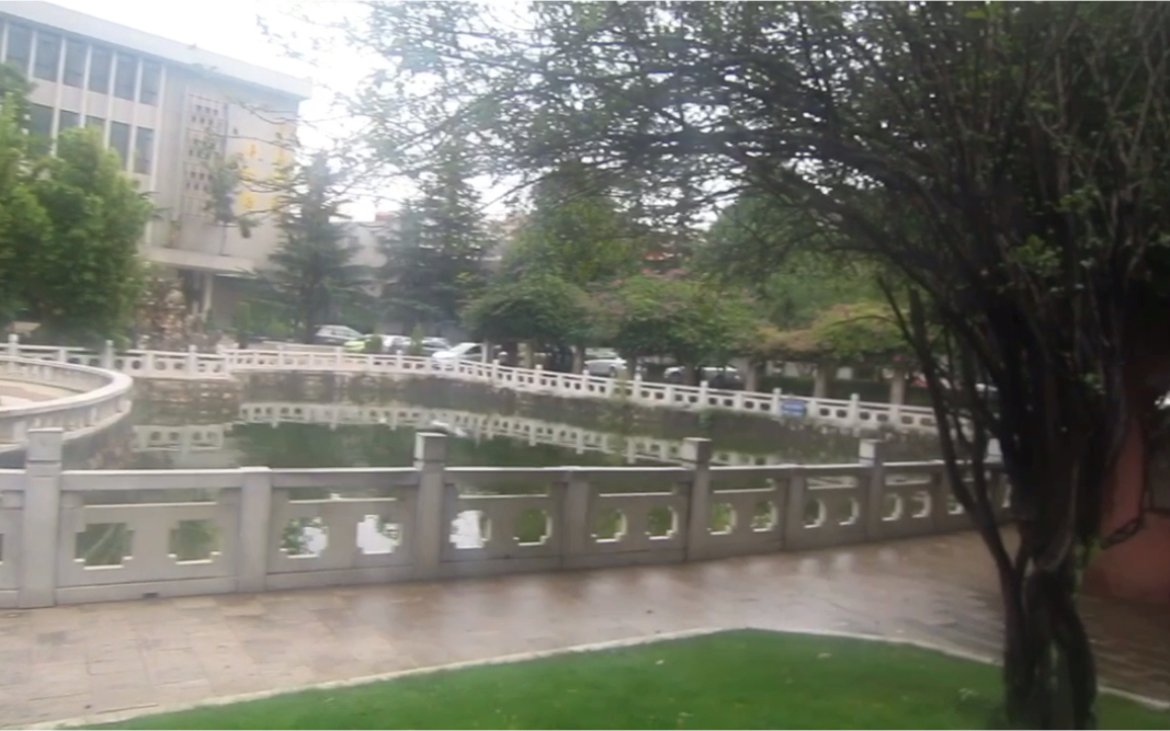 云南大学(Yunnan University)哔哩哔哩bilibili