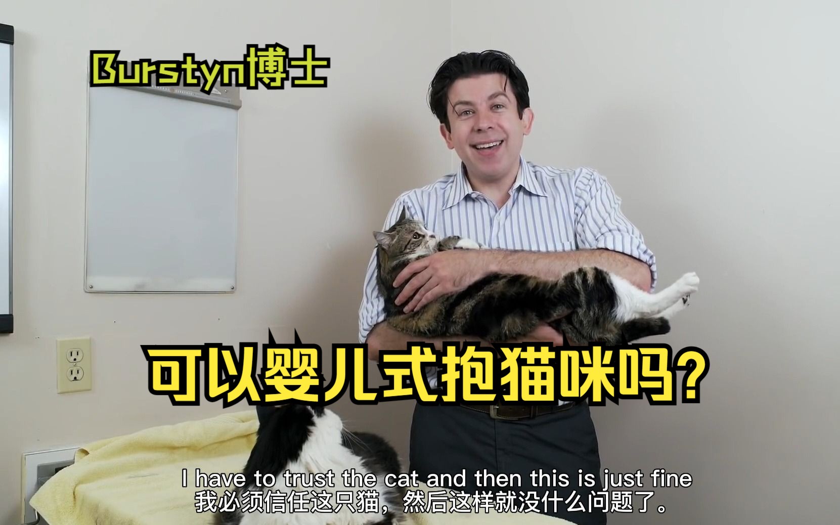 可以婴儿式抱猫咪吗?听捏猫猫的博士怎么说.哔哩哔哩bilibili