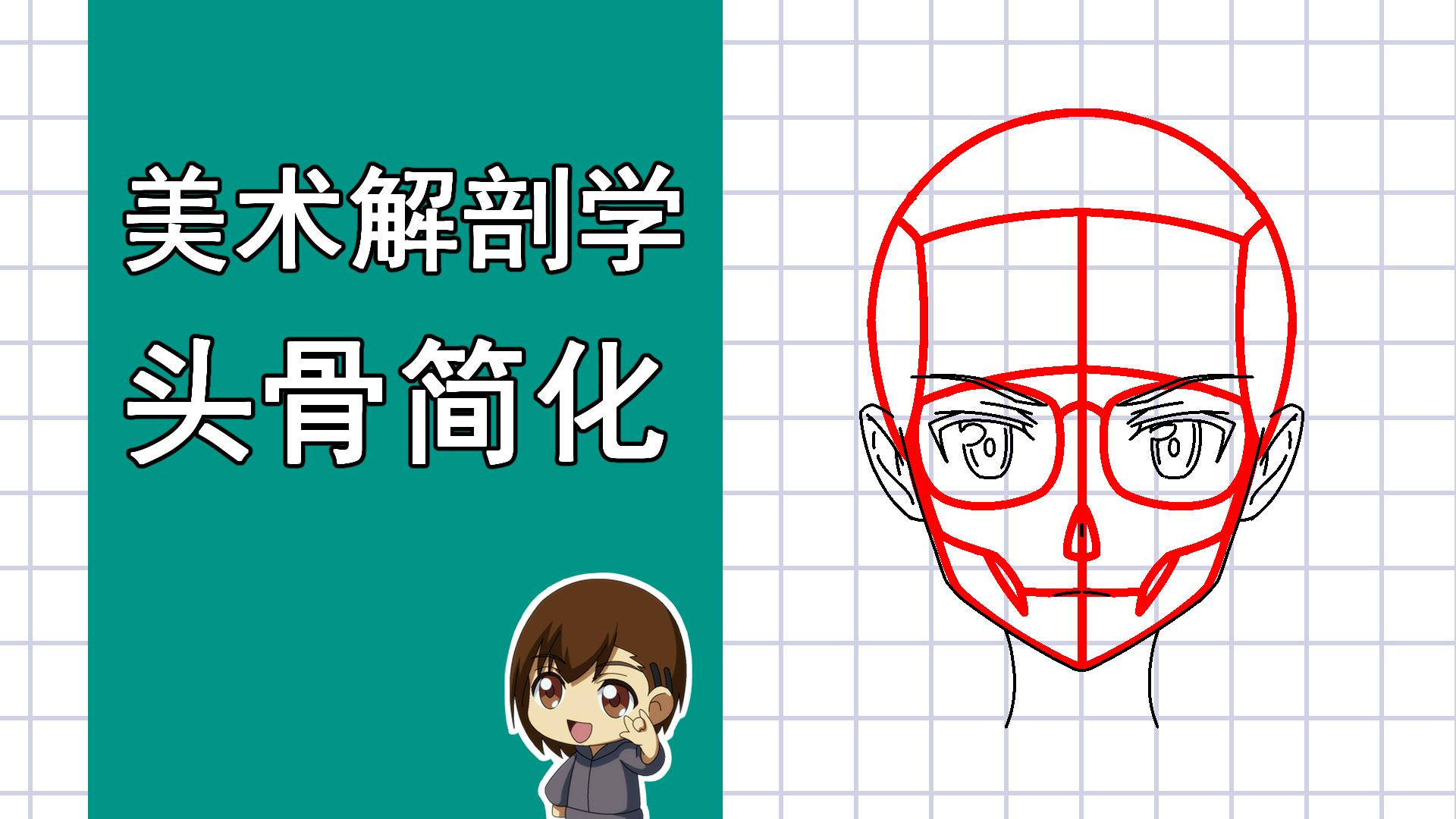 美术解剖学-12-头骨绘制简化