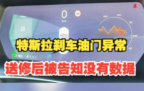 他们到底踩没踩?特斯拉刹车油门异常送修后被告知没有数据哔哩哔哩bilibili