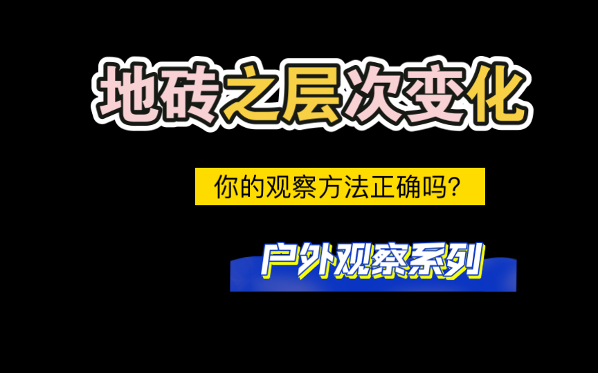 美术制作,观察第一步,你的观察方法正确吗?哔哩哔哩bilibili