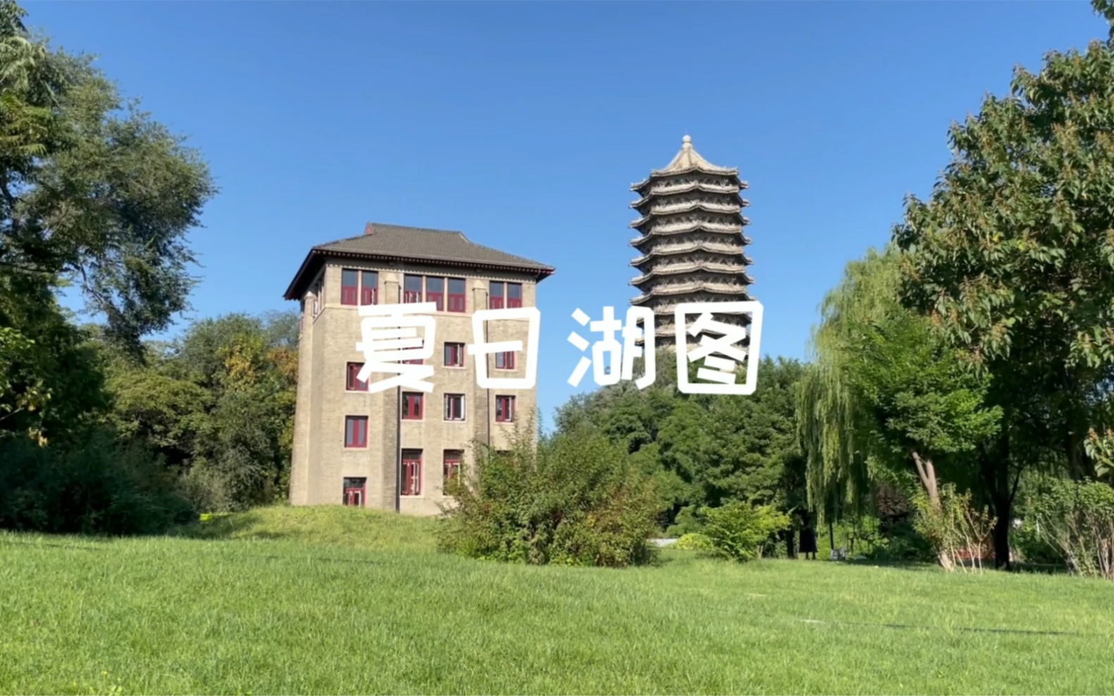 [图]夏日的北京大学「一塔湖图」