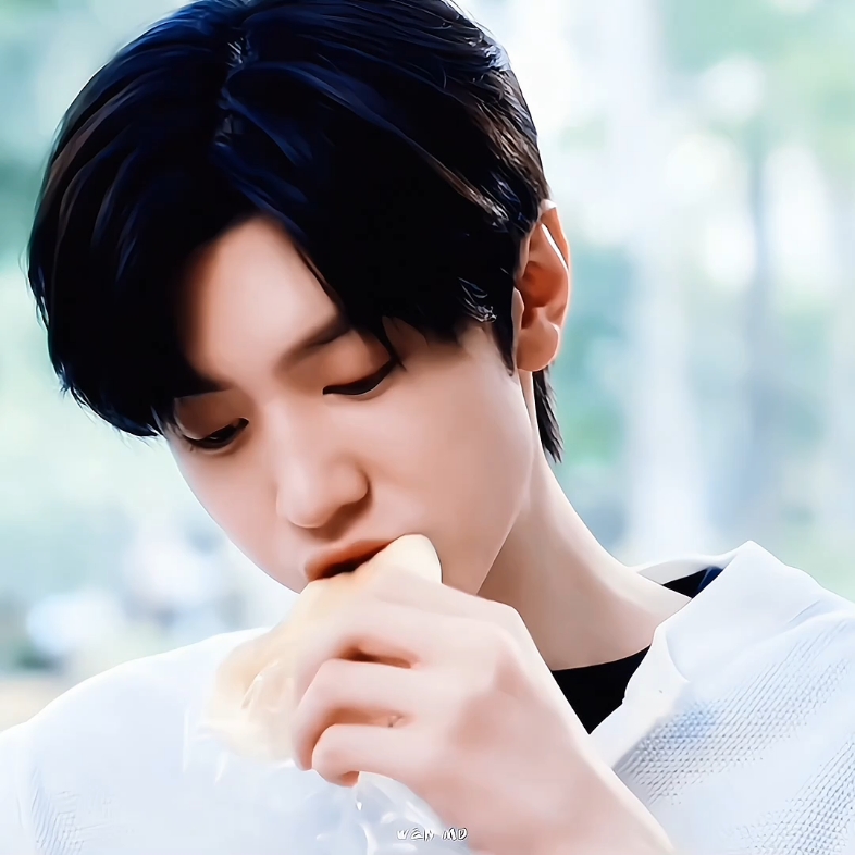 陈哲远72段嘉许