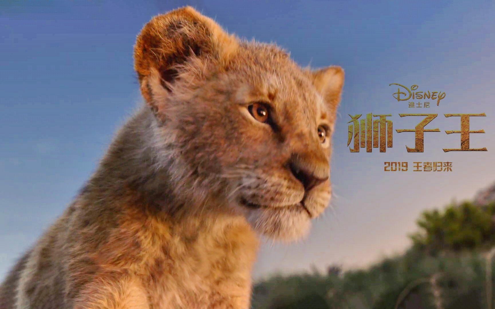 《狮子王》正式预告片超燃来袭 童年回忆震撼重现 2019年夏季 王者