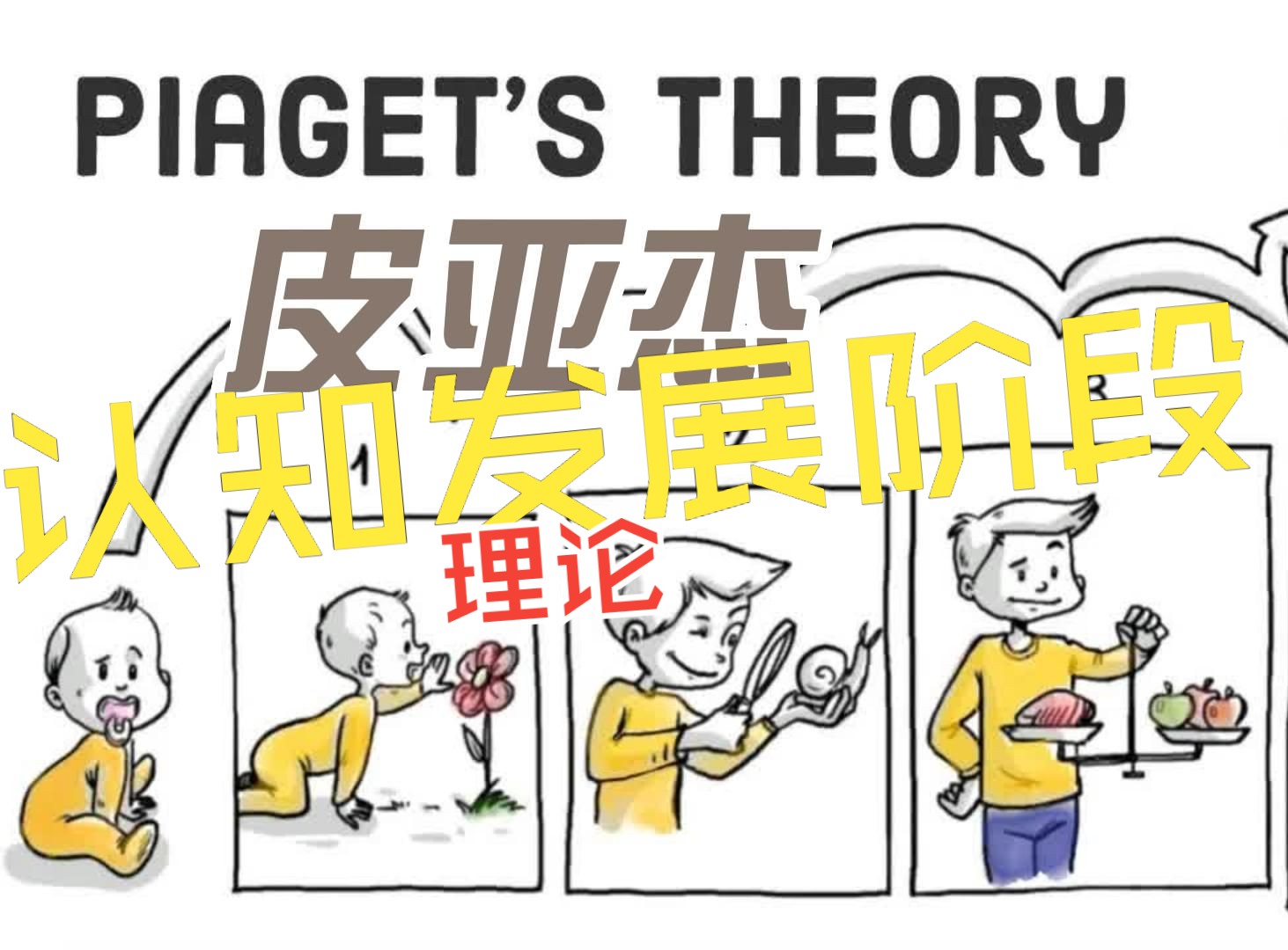 皮亚杰的理论(中英字幕)