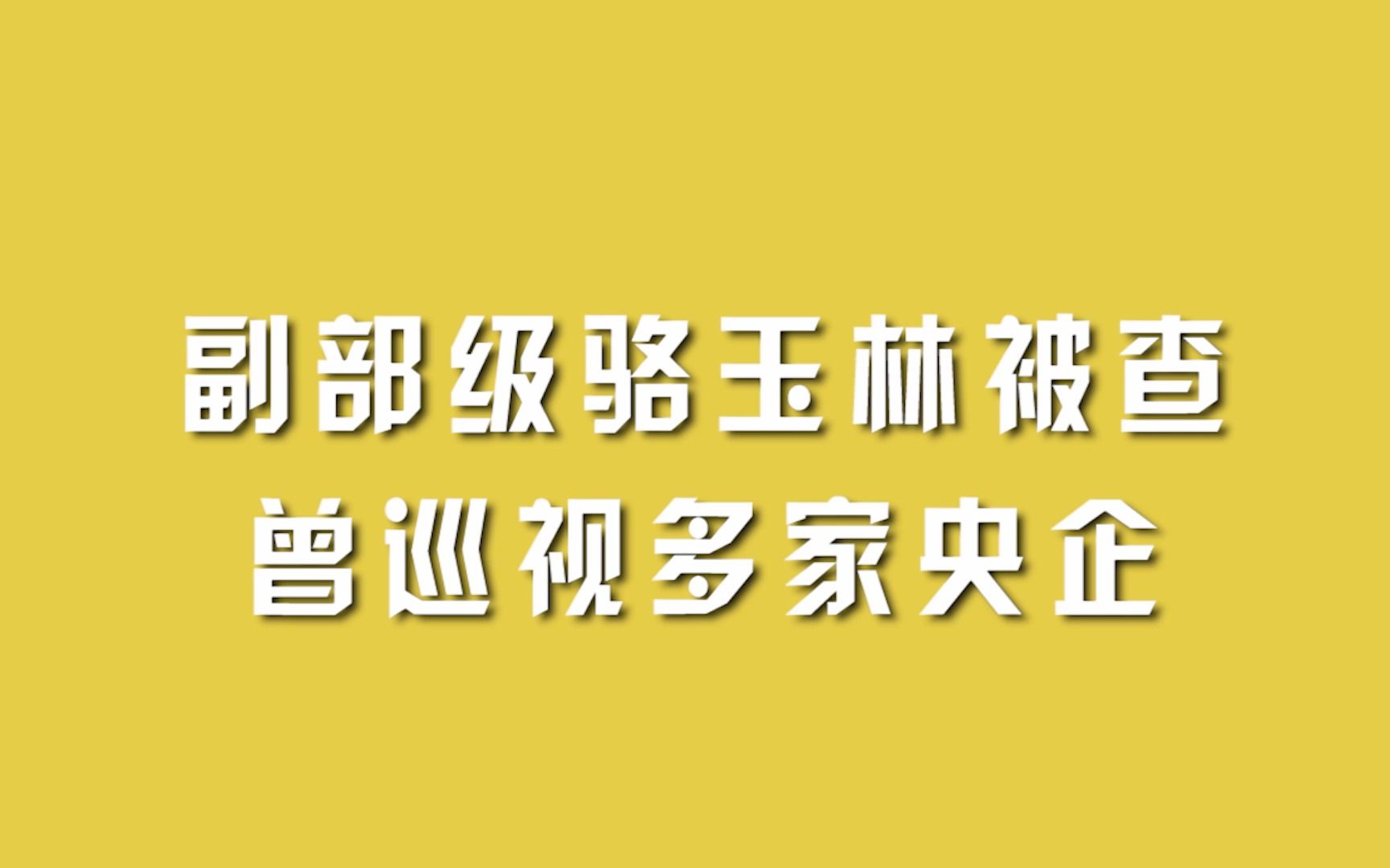 副部级骆玉林被查,曾巡视多家央企哔哩哔哩bilibili