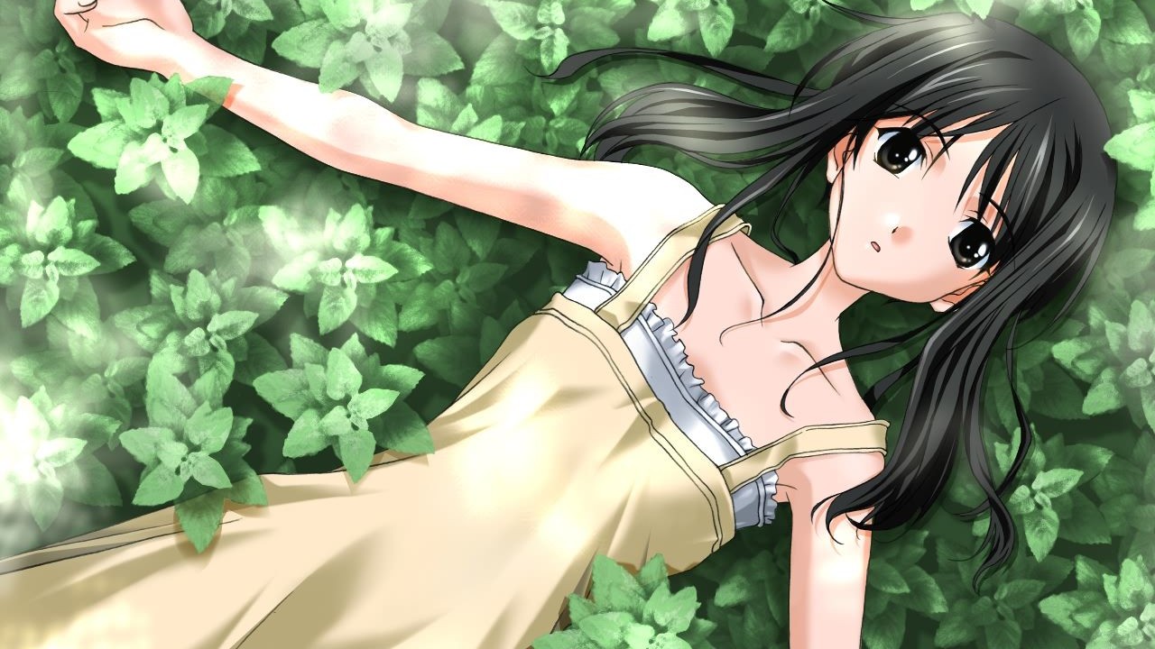 秋之回忆2psp版op