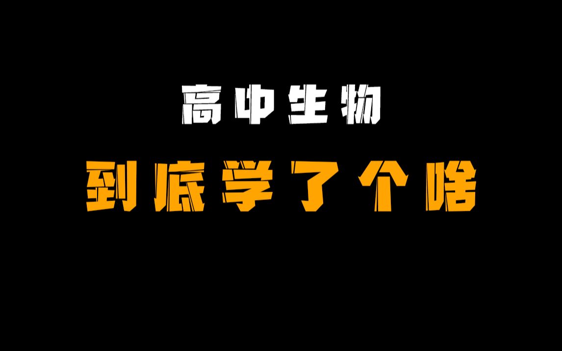 这么多错误,我到底学了个啥?哔哩哔哩bilibili