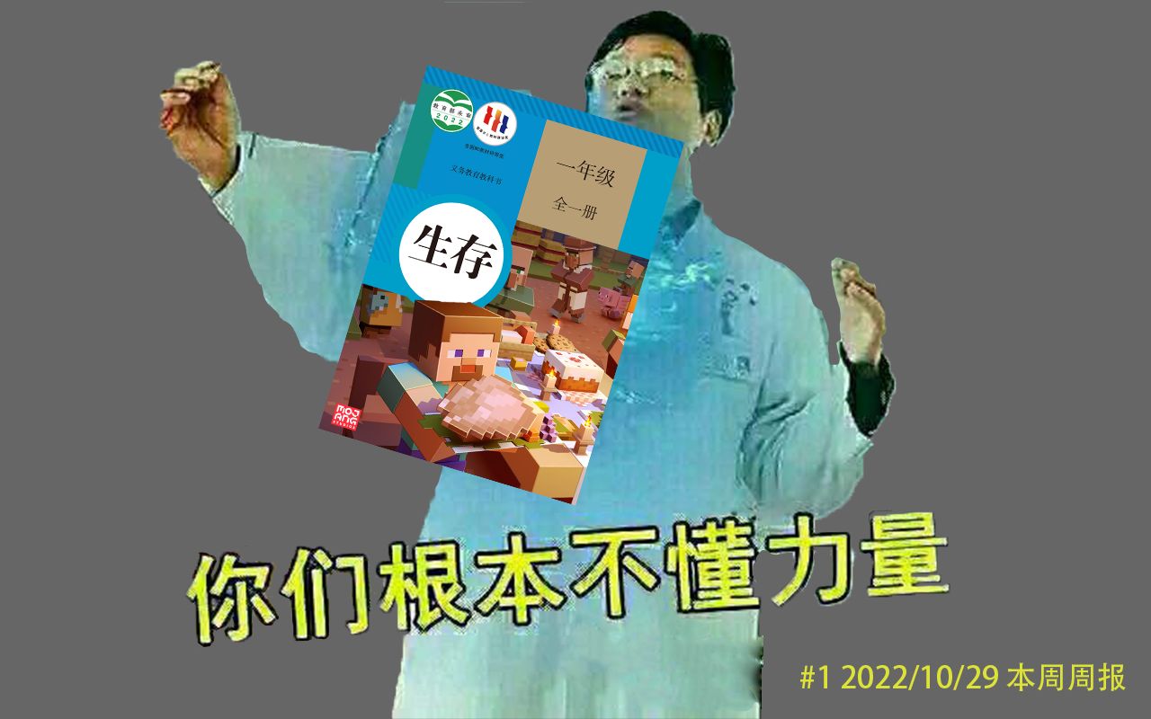 什么叫MC教科书啊?!#2 2022/10/29 本周周报我的世界