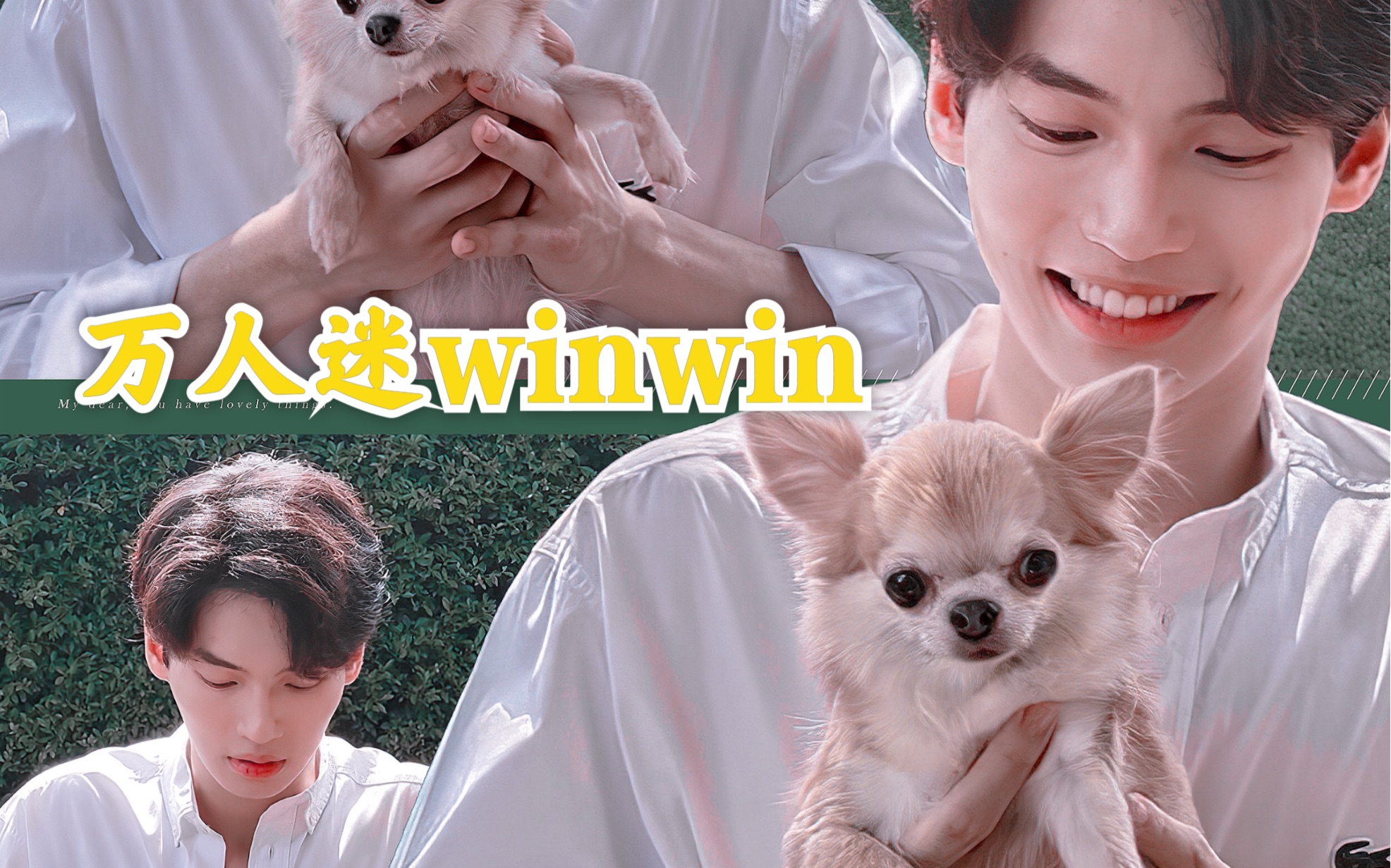 win迷人的winwin唱歌版win迷人的不要不要的