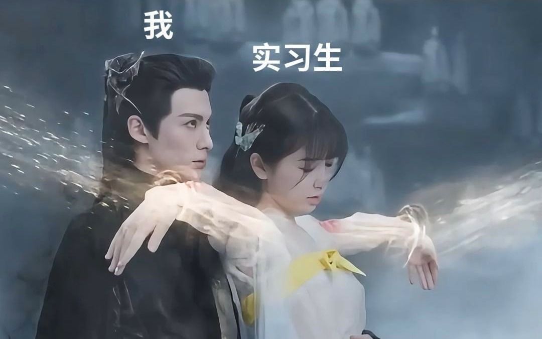 职场老鸟拯救呆萌实习生